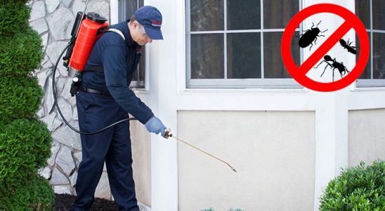 Korgun Tahtakurusu İlaçlama böcek ilaçlama ve haşere kontrolü — ilaclama-tr.com